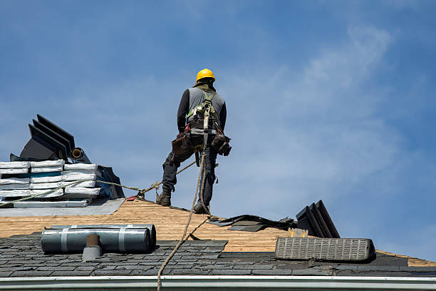 Professional Roof Replacement technician working in Tintah, MN